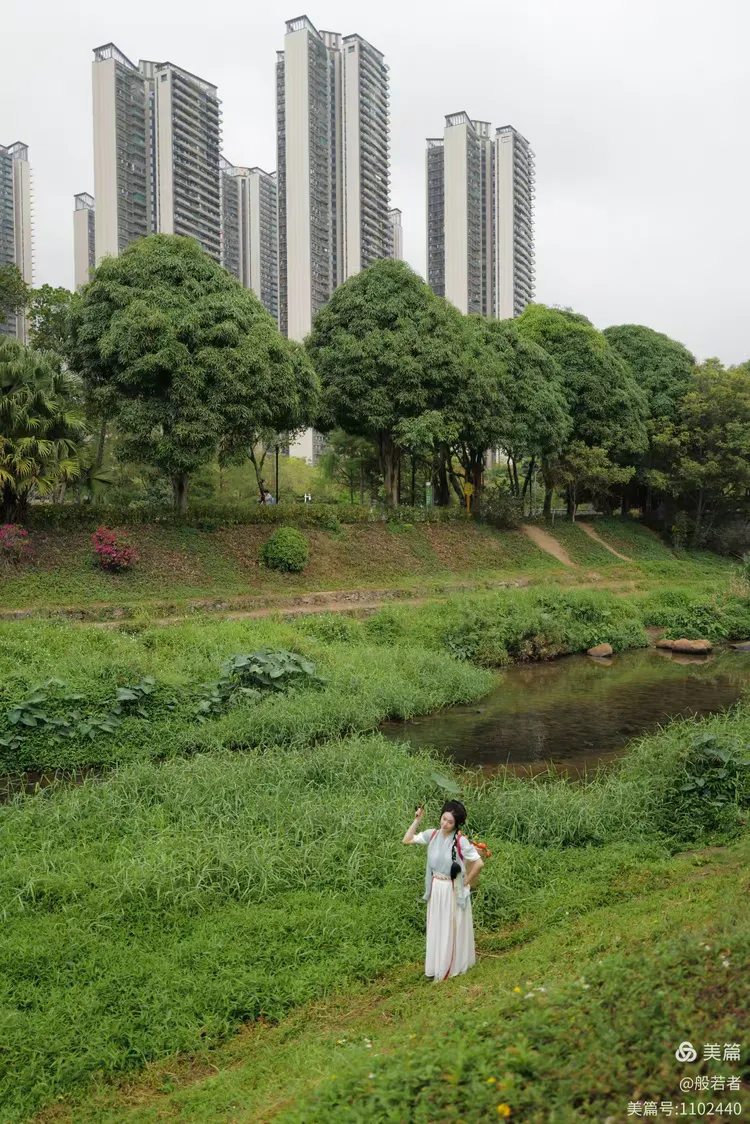 游客在朝阳公园大树上写诗，城市绿洲的诗意邂逅