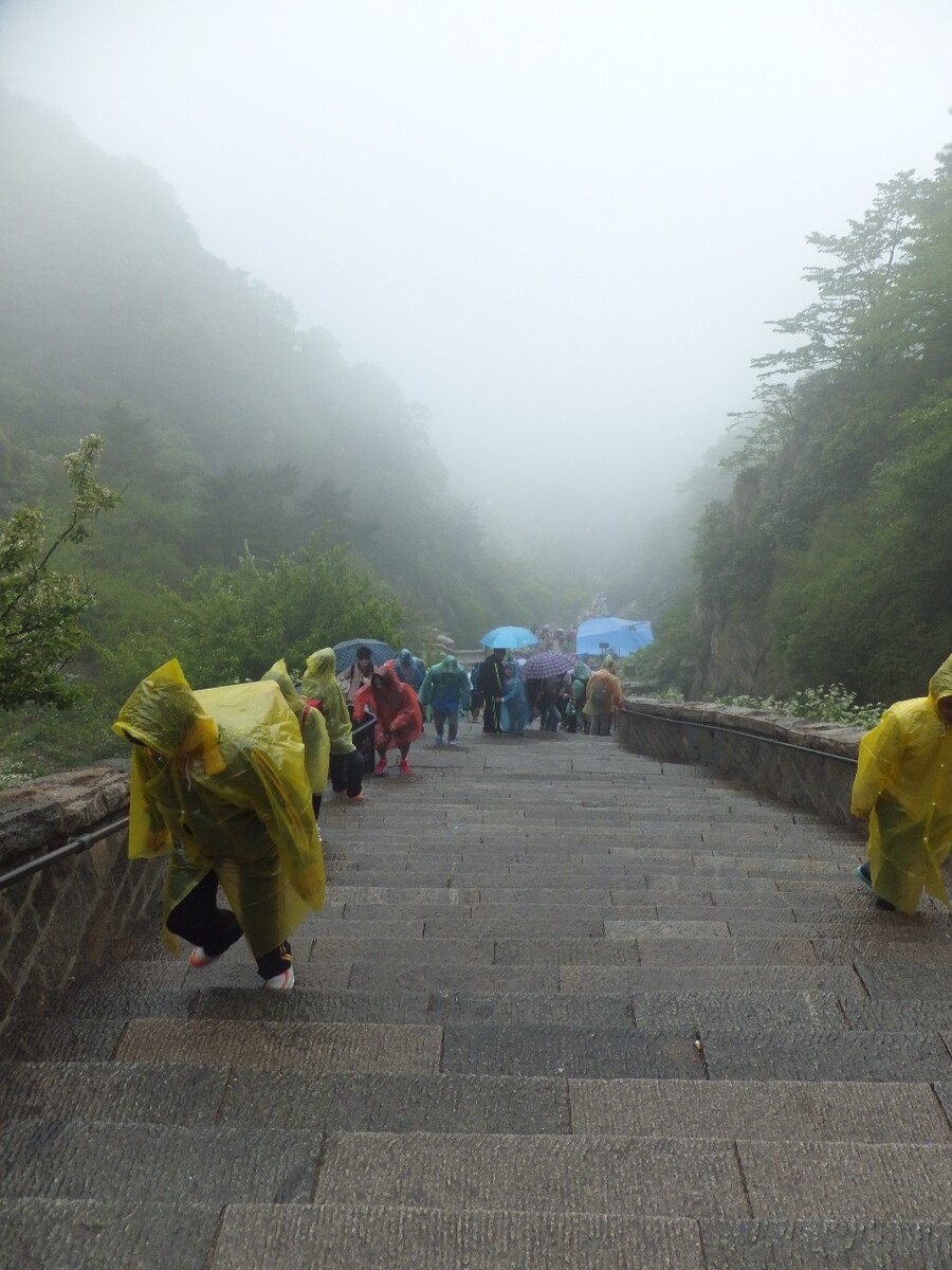 泰山的雨中奇遇，连日降雨与大风下的游客避难所—厕所