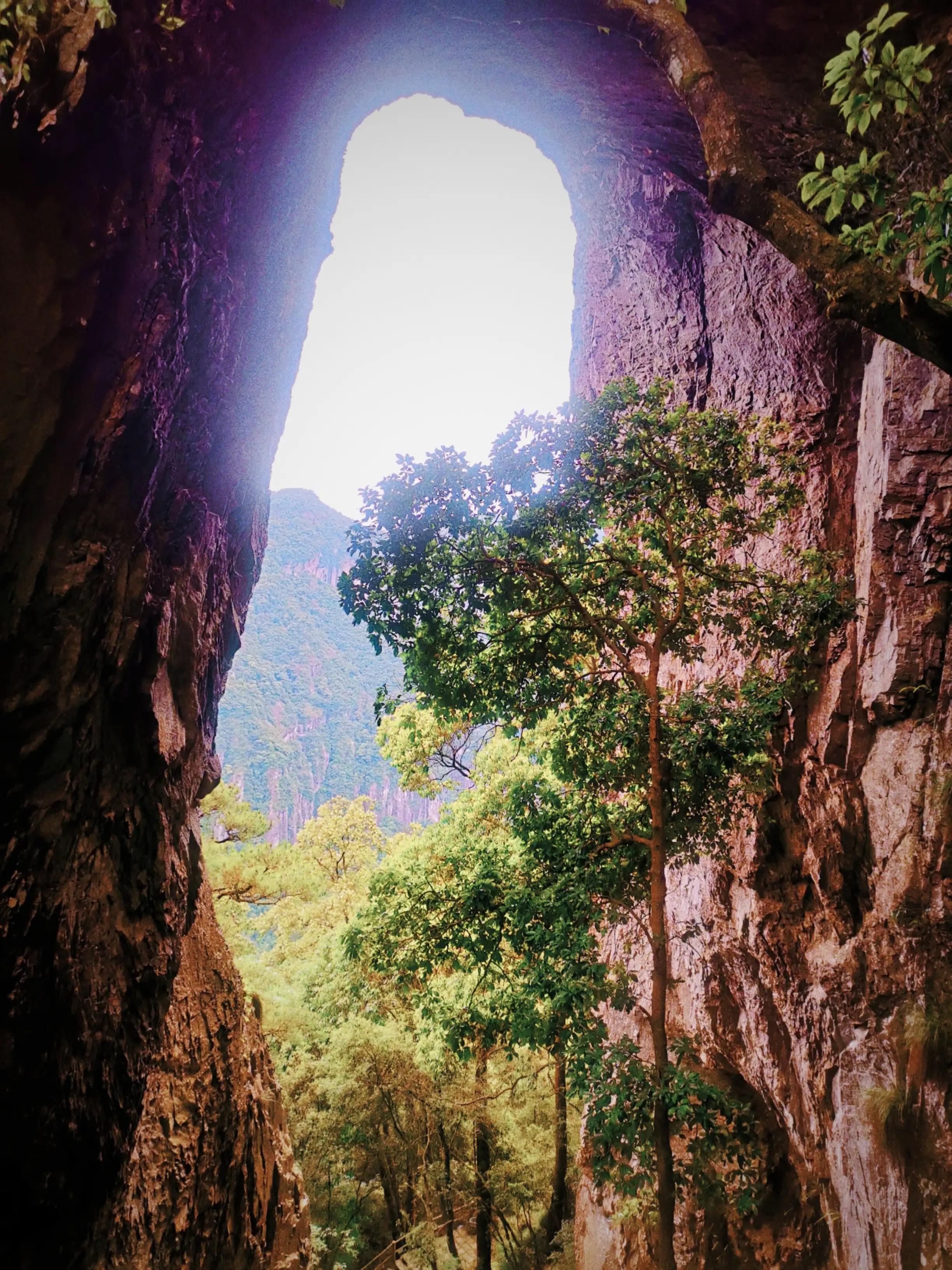 奇遇记，男子归宿酒店，惊见猴子端坐床上的非凡一幕