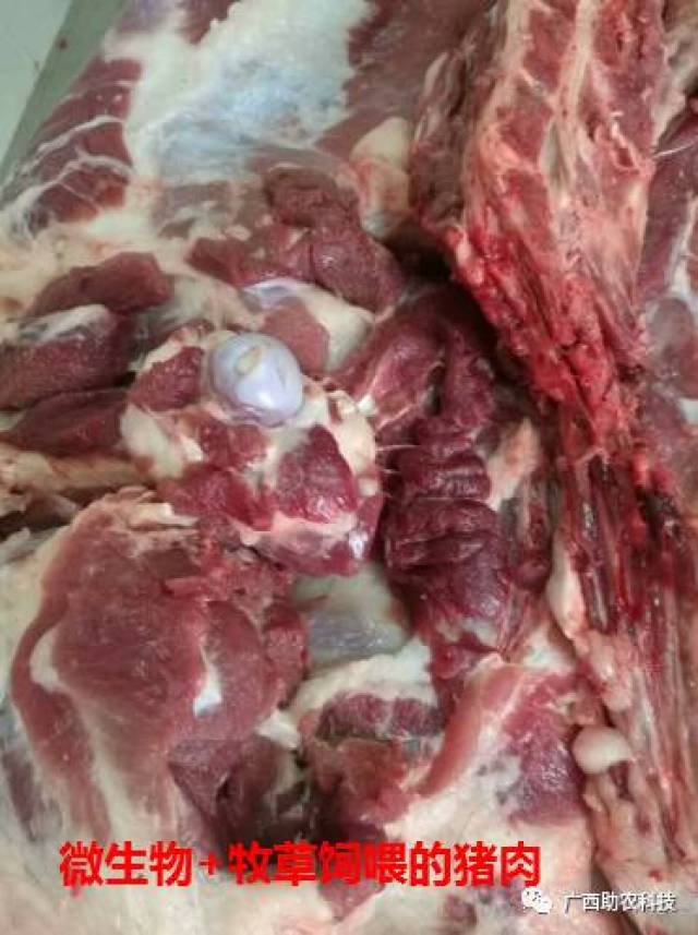 会员爆料，上海山姆会员商店买到异味猪肋排事件追踪