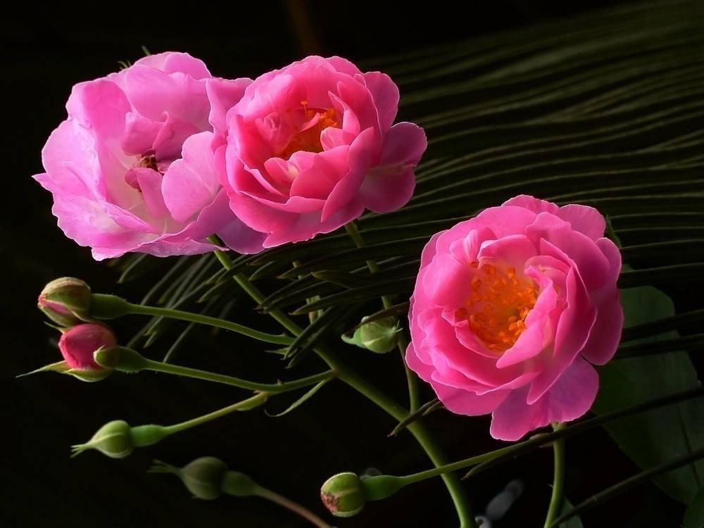 攀岩悄然破圈，打工人排队上墙的背后故事