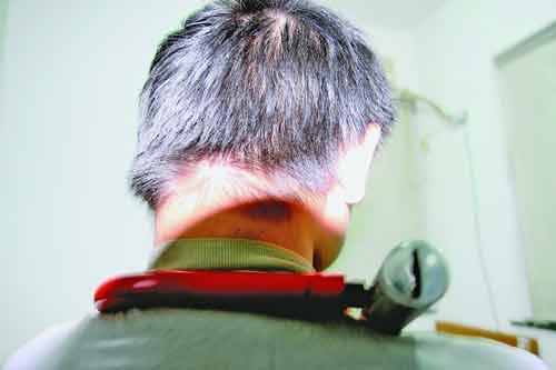 洱海畔的网红之殇，歪脖子树疑遭人为砍断的背后