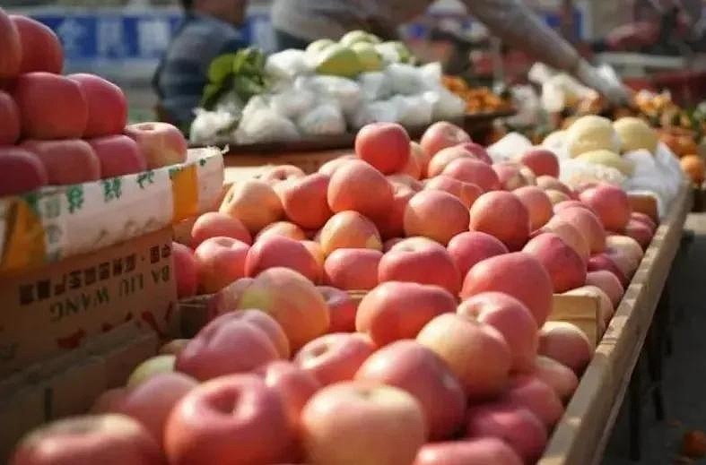 阳光玫瑰,从平民水果到贵族的华丽转身 阳光玫瑰,从平民水果到贵族的华丽转身