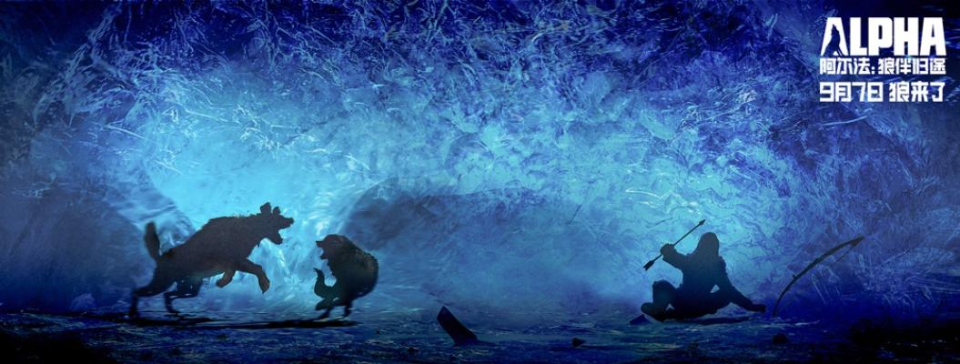 奇观与困境，长颈鹿头被卡石堆，脖子歪成90度