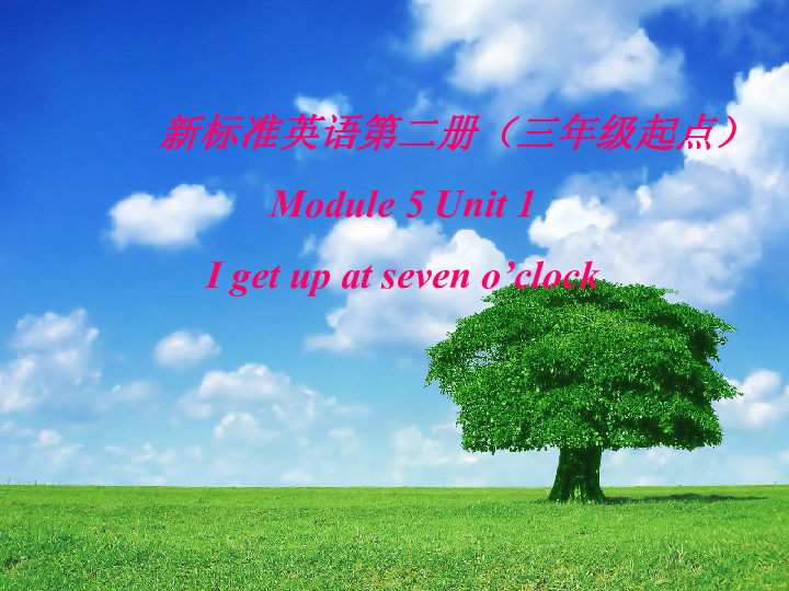 洱海畔的网红歪脖子树，一场意外的生态警钟