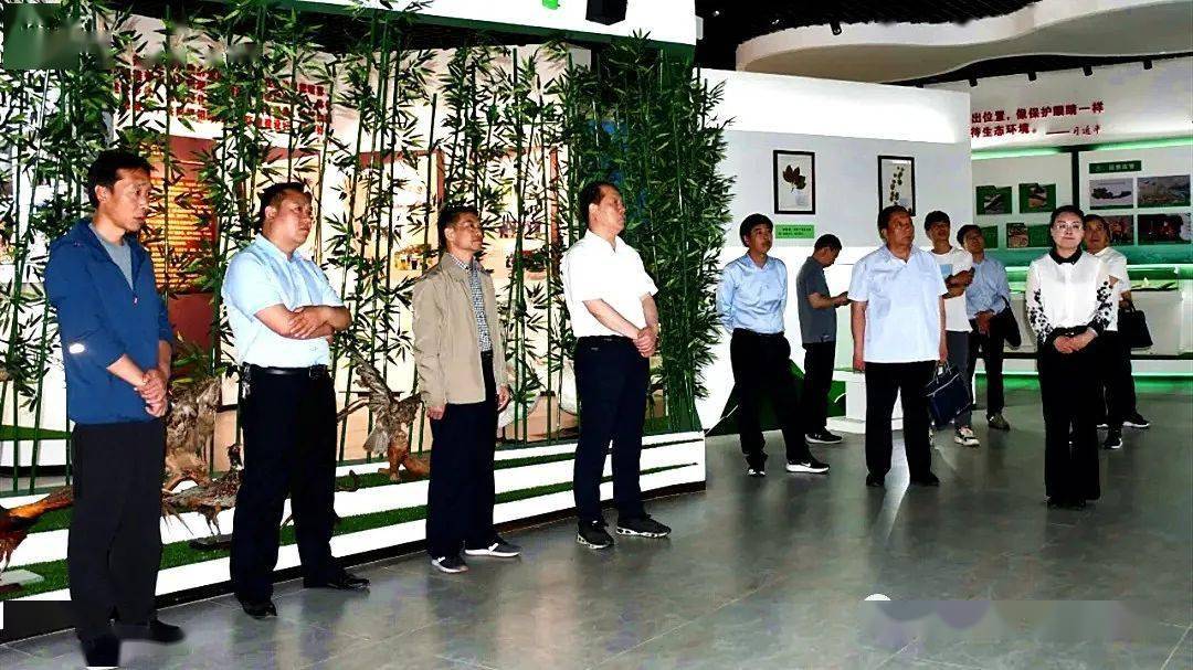 深圳大小梅沙再现集体下饺子现象,城市旅游与环境保护的双重反思 深圳大小梅沙再现集体下饺子现象,城市旅游与环境保护的双重反思