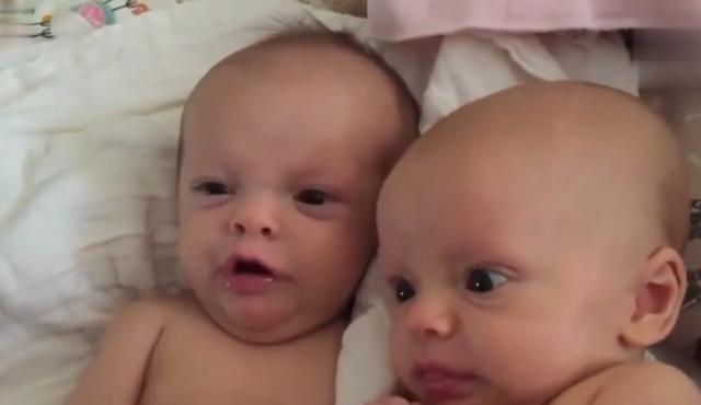 专家解读多地天空现密集鸟群，自然现象还是异常信号？