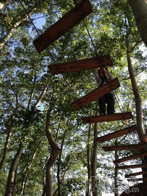 游客在朝阳公园大树上写诗，城市绿洲的诗意邂逅