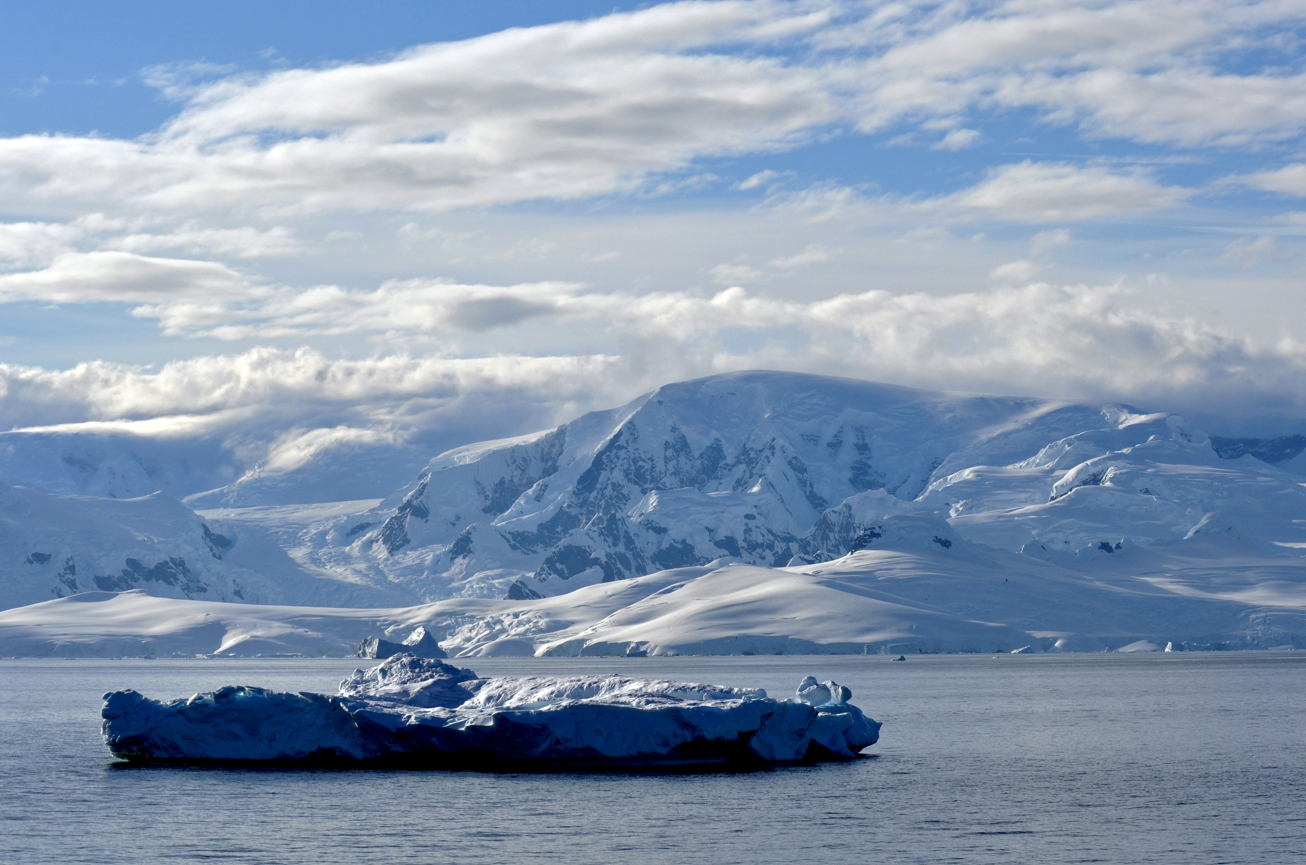 南极，地球上最后的无蚊净土
