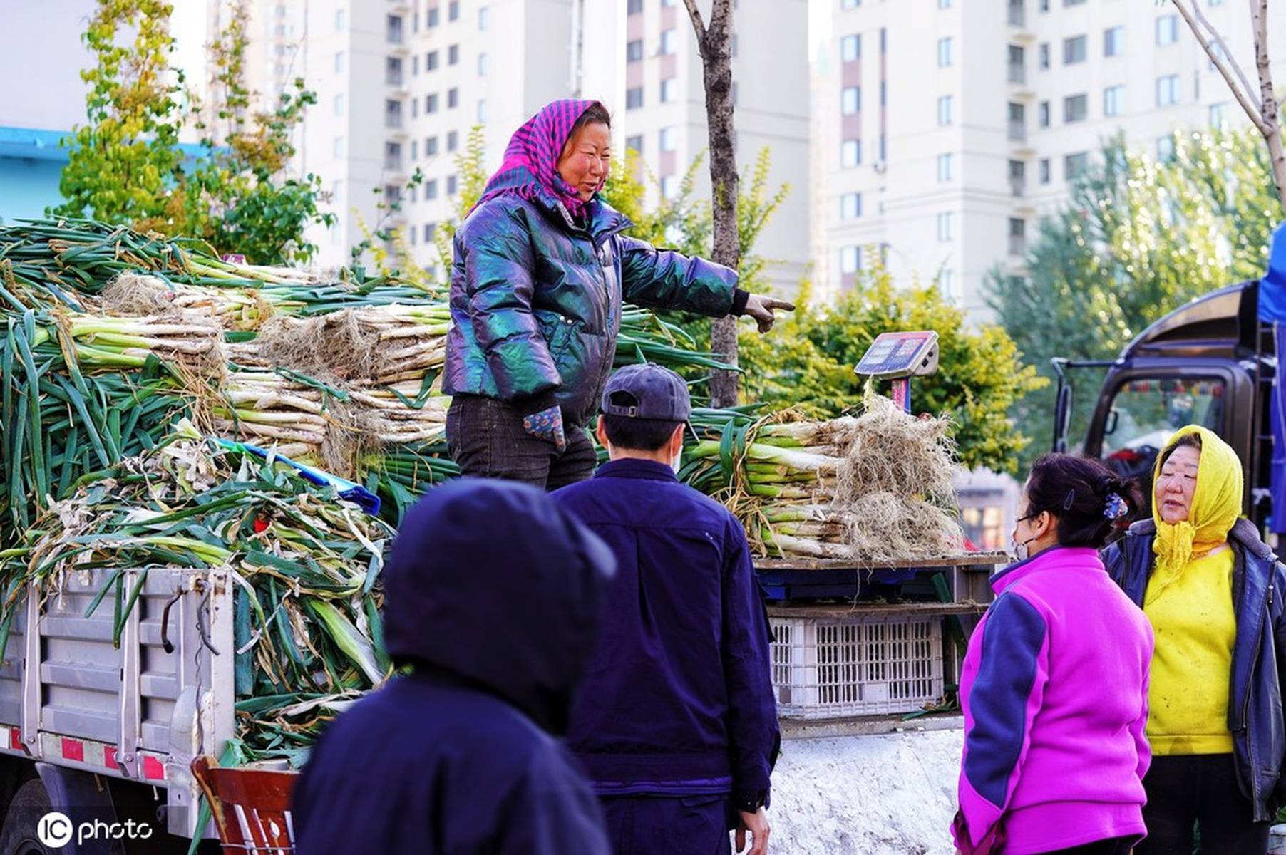 东北人囤秋菜，一场温暖而热闹的秋日盛宴