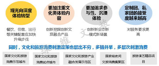 无绳蹦极，景区创新挑战与安全争议的双重考量