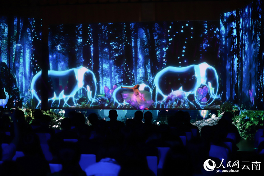 草原上的纸片舞，一场视觉与心灵的盛宴