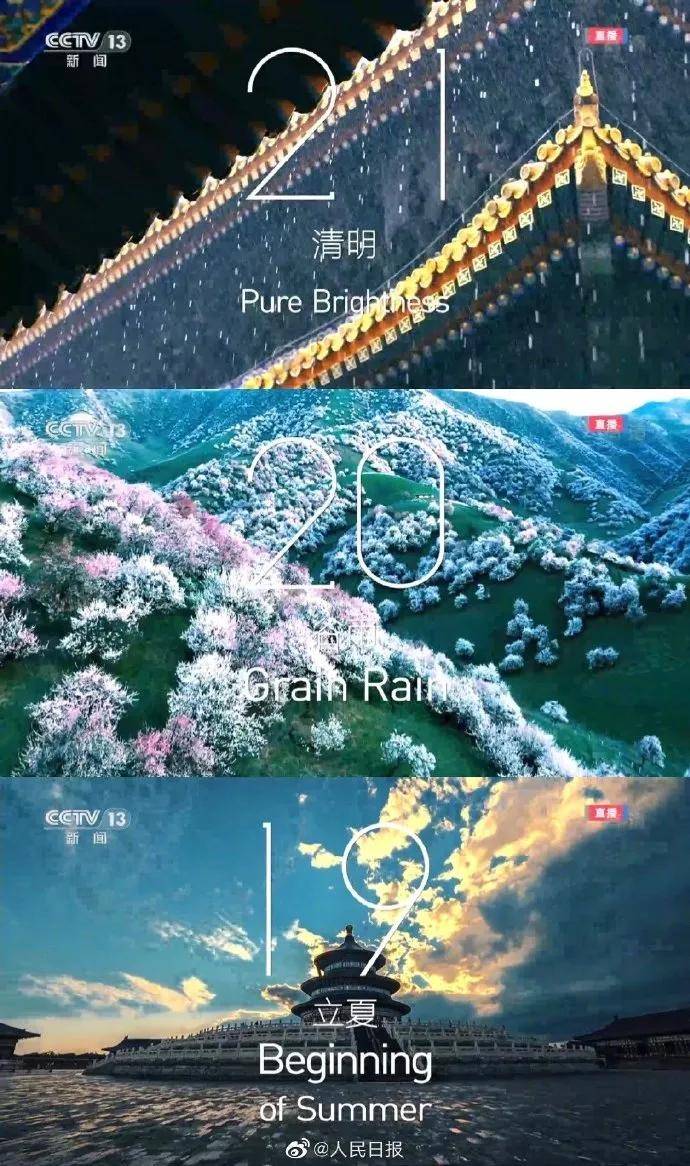 洱海畔的网红歪脖子树，一场意外的生态警钟