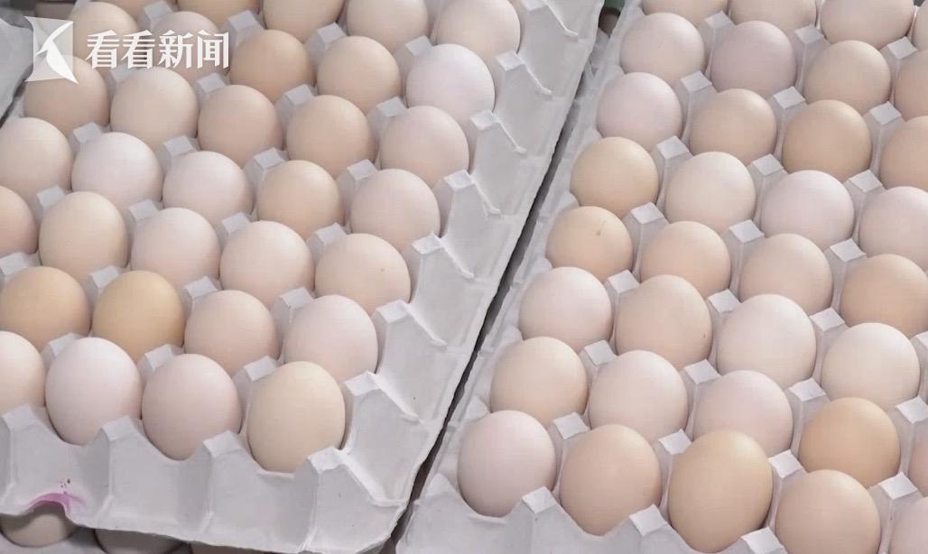 日本鸡蛋价格飙升，历史新高背后的多重因素探析