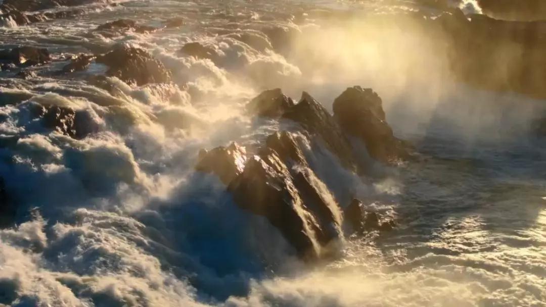 奇观与困境，长颈鹿头被卡石堆，脖子歪成90度