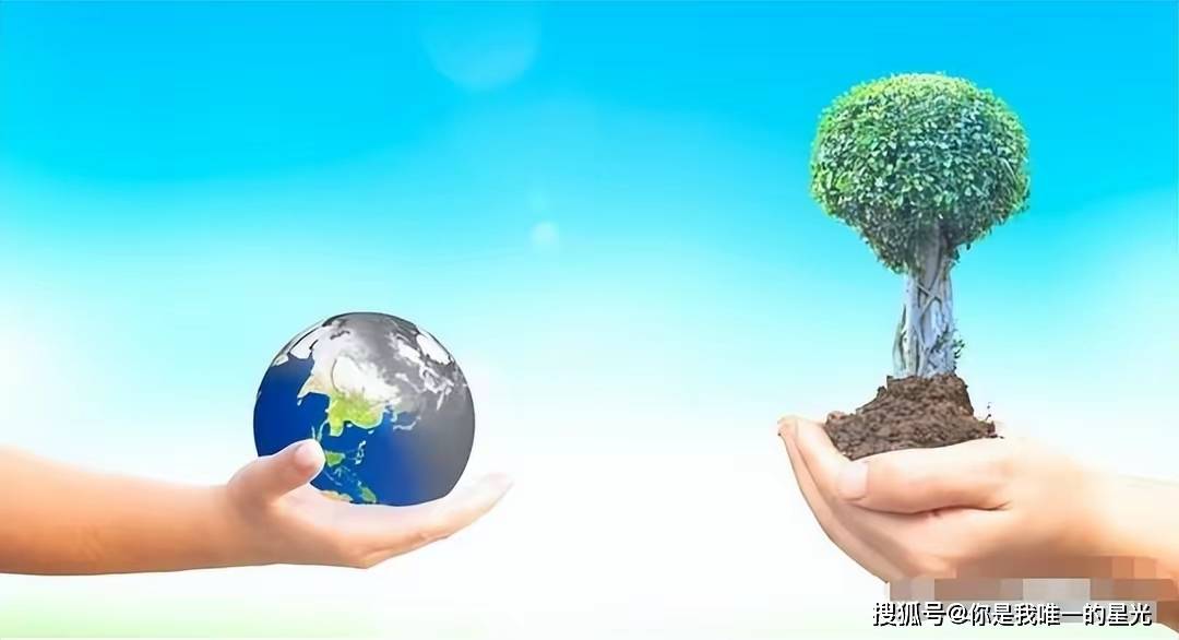 烤肉店用玉米做燃料，环保与传统的争议