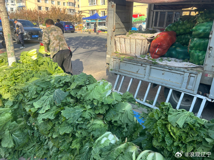 东北人囤秋菜，一场温暖而热闹的秋日盛宴