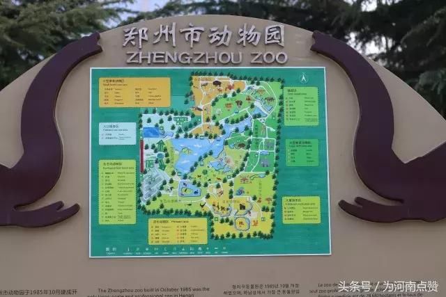 动物园新规，1995年前出生可购老年票—温暖人心的年龄界限