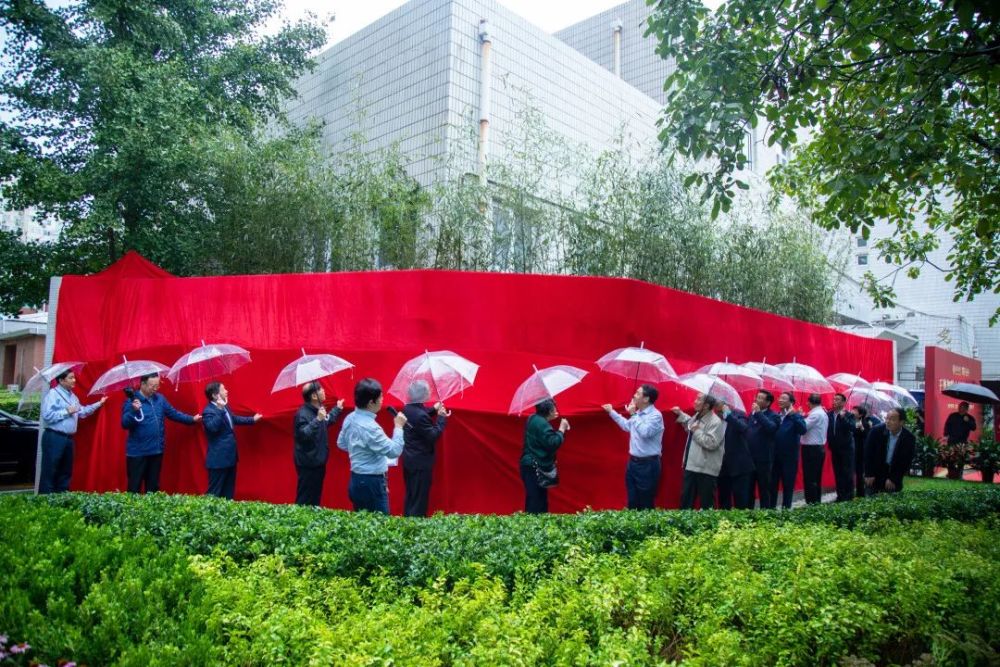 缅怀巨擘，杨振宁先生与室内鲜花的深情故事