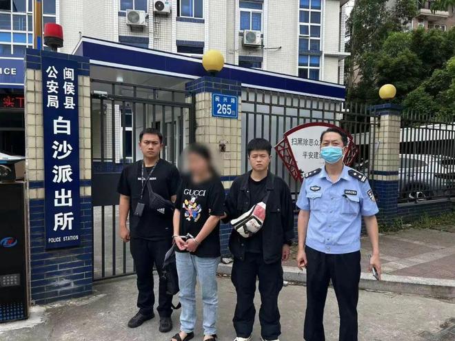 毕加索名画和平鸽送展途中失踪，警方全力追查