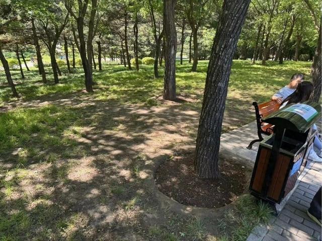 游客在朝阳公园大树上写诗，城市绿洲的诗意邂逅