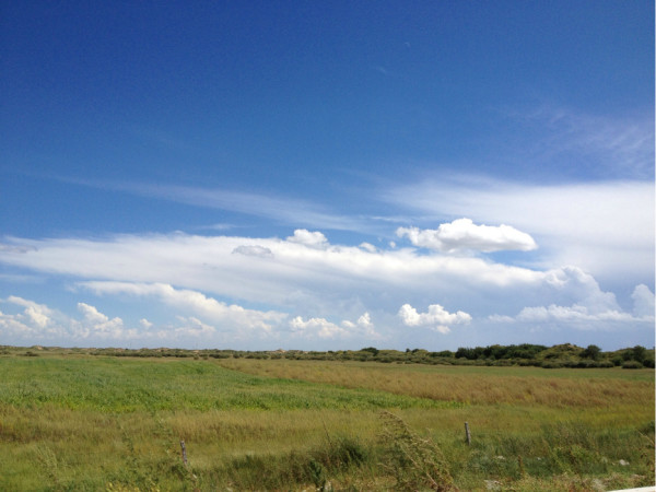 夫妻自驾游内蒙，意外收获500斤蔬菜的温馨之旅