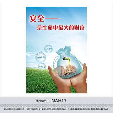 中国兽协回应动物血库抽取猫血事件，伦理、安全与透明的平衡之道