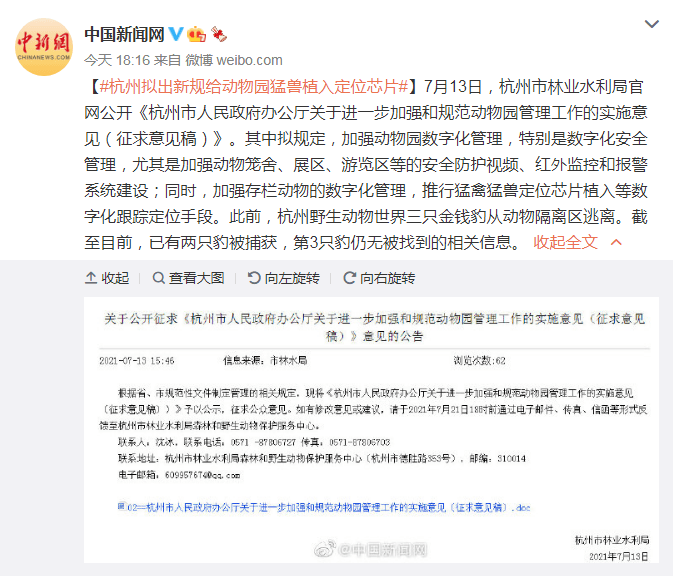 动物园新规，1995年前出生可购老年票—温暖人心的年龄界限