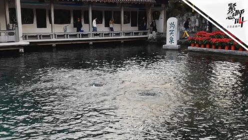 趵突泉靠水泵才能喷涌？一则流传已久的谣言解析