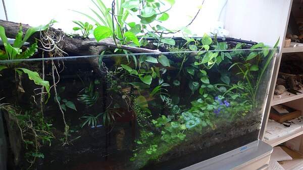 西安城墙，从历史古迹到巨型生态缸的绿色蜕变