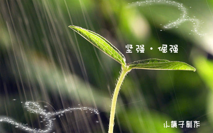 坚强与坚韧，张靓颖回应摔下舞台的我没事！