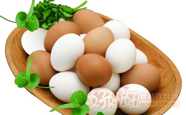 日本鸡蛋价格飙升，历史新高背后的多重因素探析