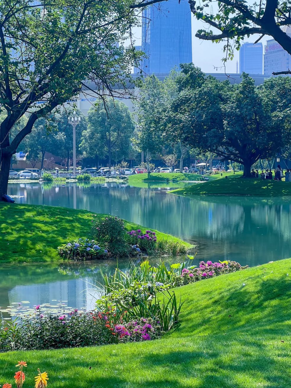 游客在朝阳公园大树上写诗，城市绿洲的诗意邂逅