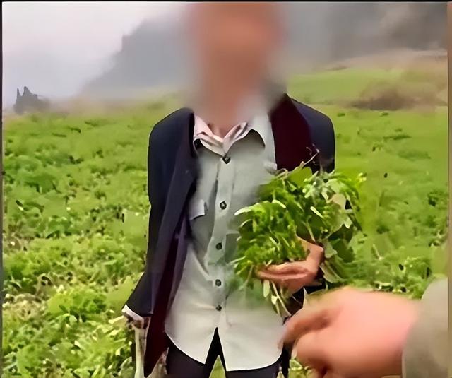 男子4个月偷菜18次获刑6个月，小行为背后的法律大义