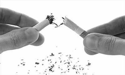 南宁动物园网红黑猩猩开启戒烟大作战,从烟不离手到轻松戒断的逆袭 南宁动物园网红黑猩猩开启戒烟大作战,从烟不离手到轻松戒断的逆袭