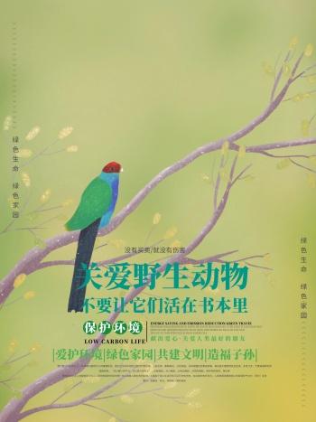 最高法重磅提醒,这些鸟不能随意捕!保护野生动物刻不容缓 最高法重磅提醒,这些鸟不能随意捕!保护野生动物刻不容缓