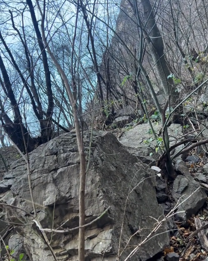 南太行失联43天徒步者遗体找到，荒野求生背后的生死救援