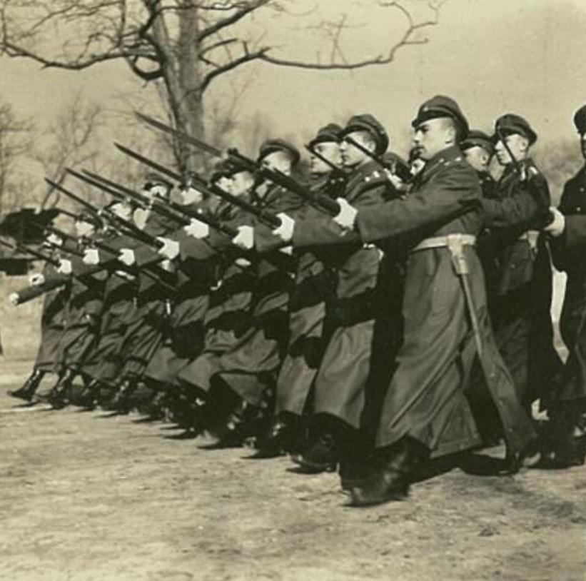 当高校课程遇上蜘蛛人,上海交大新生军训的树攀革命 当高校课程遇上蜘蛛人,上海交大新生军训的树攀革命