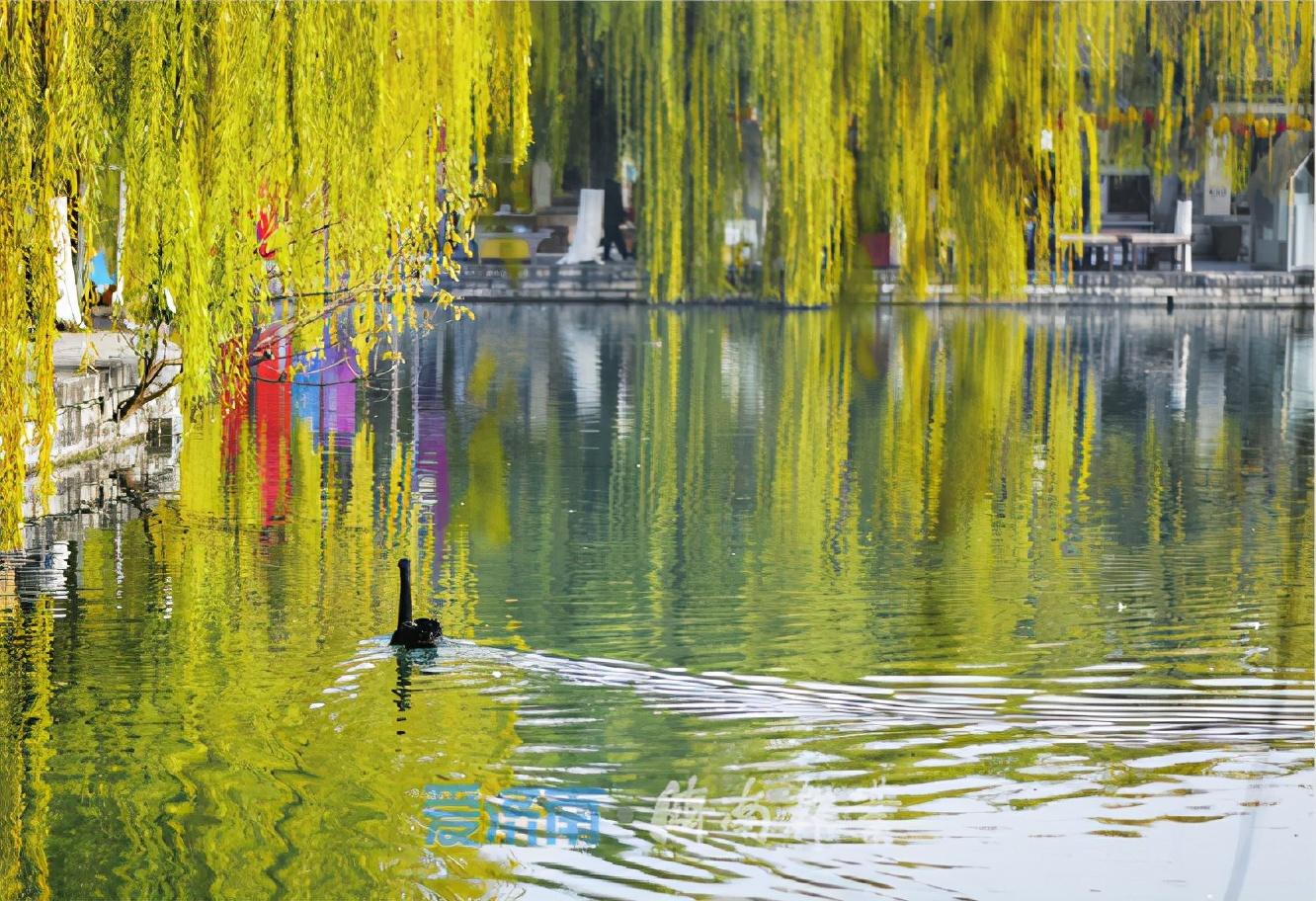 预警！地磁暴来袭，今明两日的天空之忧