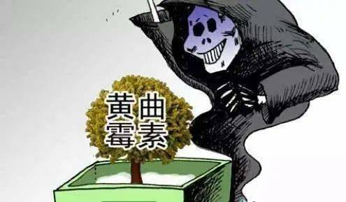 低价合金饰品惊现隐形杀手，致癌物超标9000倍背后的人命关天