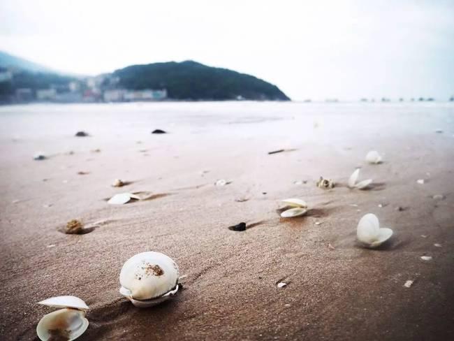 脚掌上的星辰，论脚踏实地与仰望星空者的永恒平衡