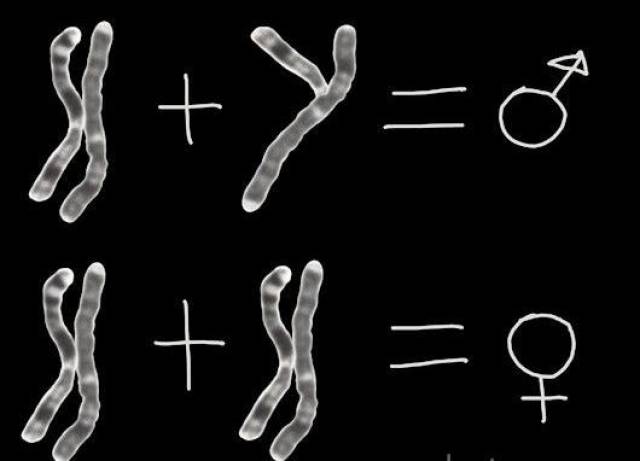 婚后三年未育之谜，揭开男性染色体异常的隐秘