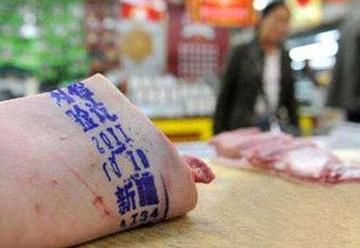 猪肉记号笔下的焦虑时代,一场荒诞的亲子保卫战 猪肉记号笔下的焦虑时代,一场荒诞的亲子保卫战