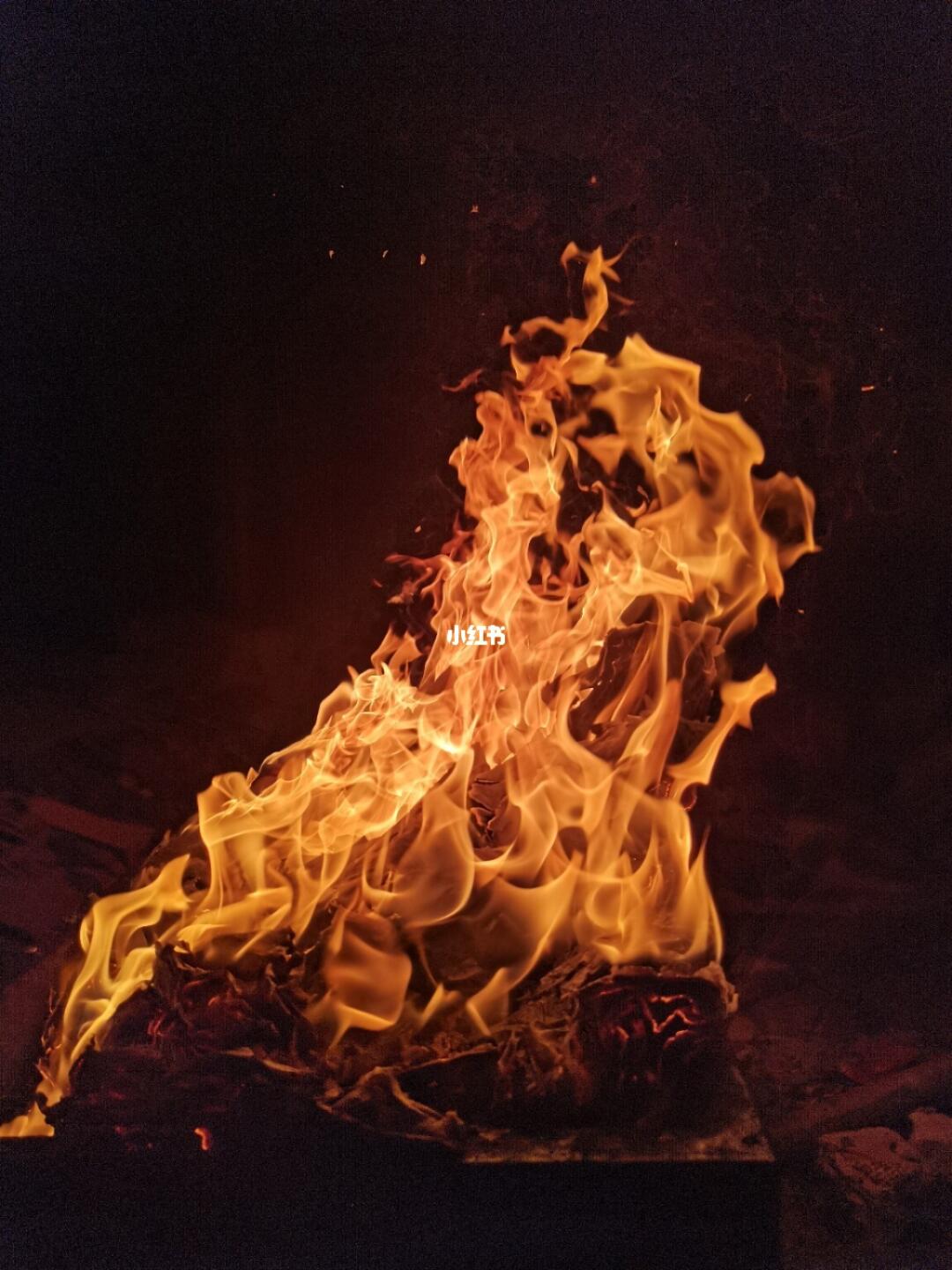 虚妄的火焰,南朝佛寺谣言考辨与历史认知的反思 虚妄的火焰,南朝佛寺谣言考辨与历史认知的反思