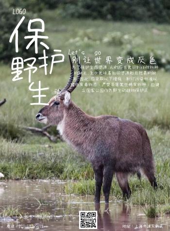 最高法重磅提醒,这些鸟不能随意捕!保护野生动物刻不容缓 最高法重磅提醒,这些鸟不能随意捕!保护野生动物刻不容缓