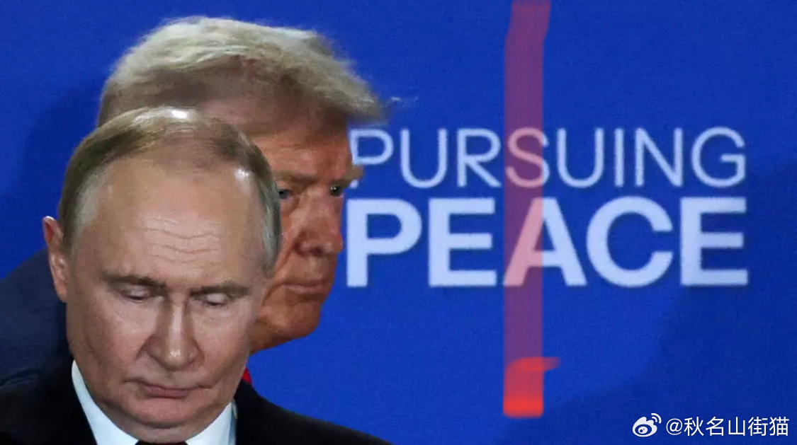 普京提出停火条件,地缘政治博弈下的乌克兰危机新动向 普京提出停火条件,地缘政治博弈下的乌克兰危机新动向