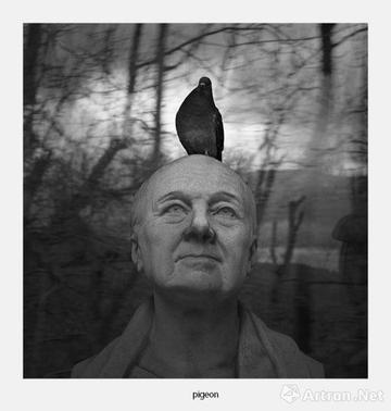 阿汤哥登顶奥斯卡之巅,一位特技演员的半个世纪光影传奇 阿汤哥登顶奥斯卡之巅,一位特技演员的半个世纪光影传奇