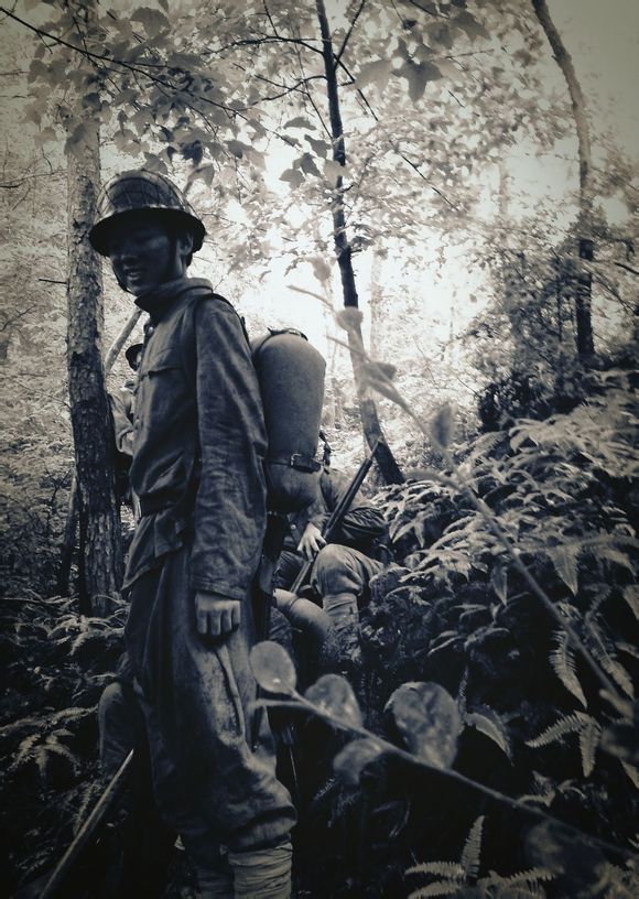 血与泪的枪声,以军射杀巴勒斯坦平民事件引发的全球震动 血与泪的枪声,以军射杀巴勒斯坦平民事件引发的全球震动