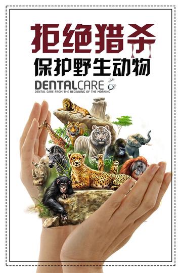 最高法重磅提醒，这些鸟不能随意捕！保护野生动物刻不容缓