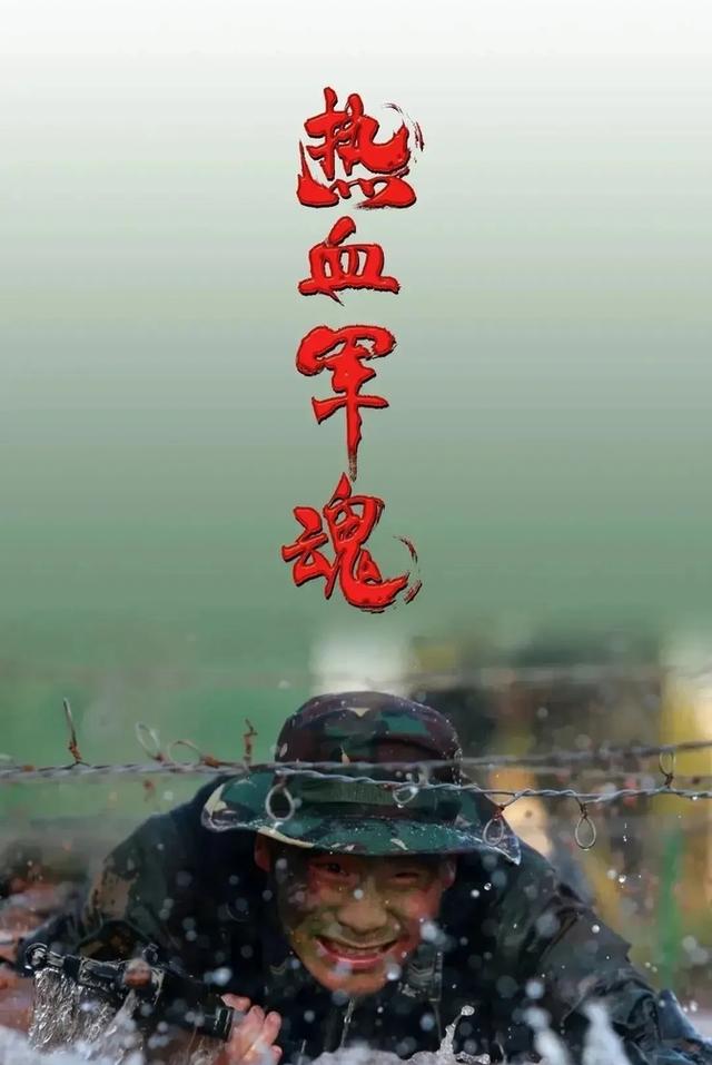 血与泪的枪声,以军射杀巴勒斯坦平民事件引发的全球震动 血与泪的枪声,以军射杀巴勒斯坦平民事件引发的全球震动